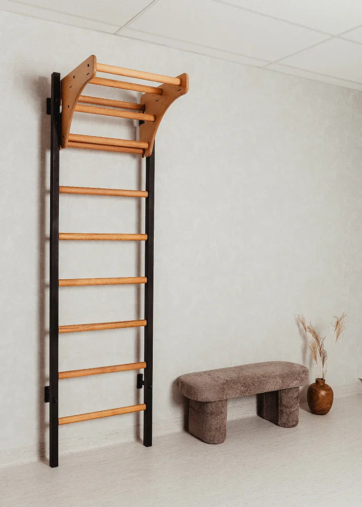 BenchK 211 Gymnastic Wall Bars with Ring and Swing Accessories