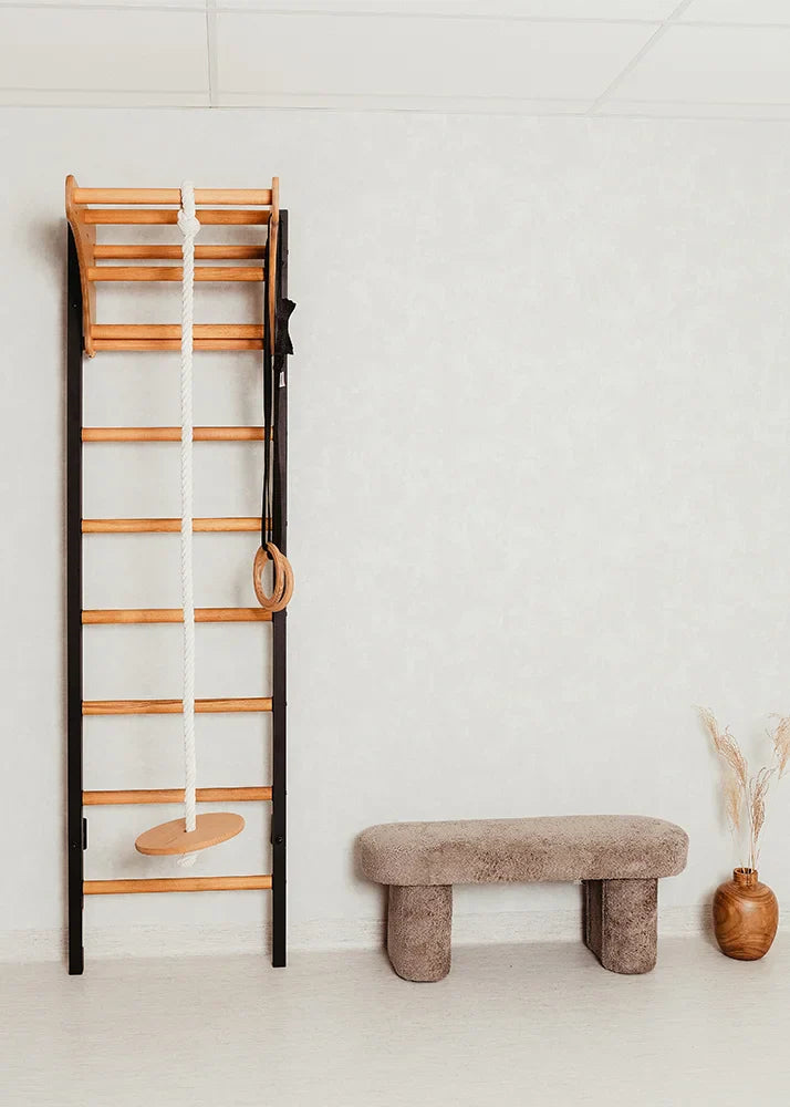 BenchK 211 Gymnastic Wall Bars with Ring and Swing Accessories