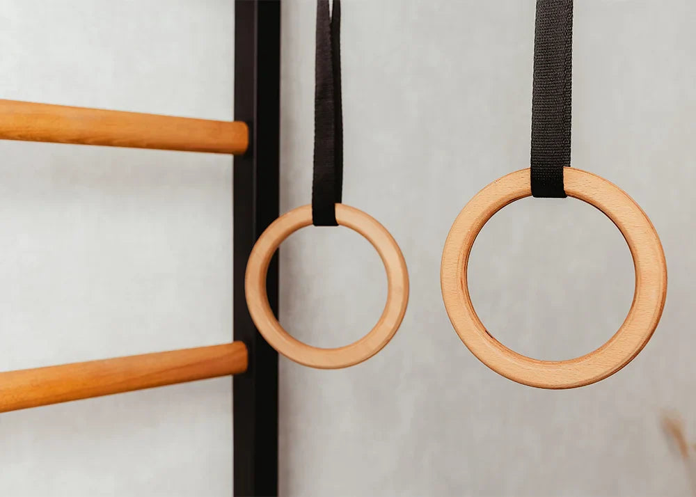 BenchK 211 Gymnastic Wall Bars with Ring and Swing Accessories
