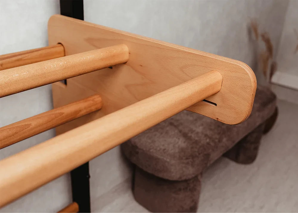 BenchK 211 Gymnastic Wall Bars with Ring and Swing Accessories