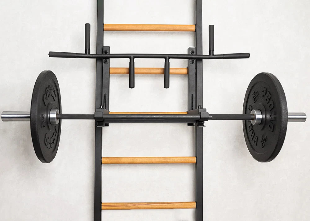 BenchK 731 Wall Bars and Pull-Up Bar Exercise Rehabilitation Equipment