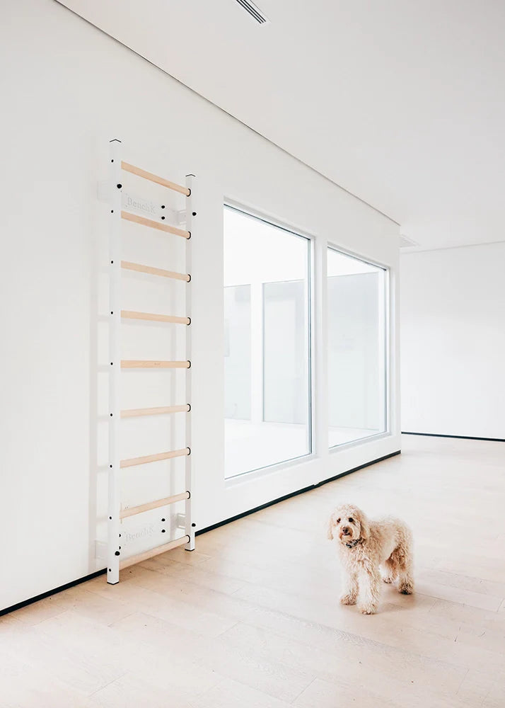 BenchK 700 Gymnastics Ladder - Wooden Wall Bars with Metal Frame