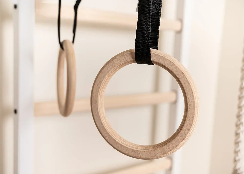 BenchK 211 Gymnastic Wall Bars with Ring and Swing Accessories