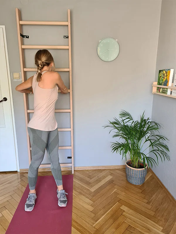 BenchK 100 Gymnastic Wooden Wall Bars