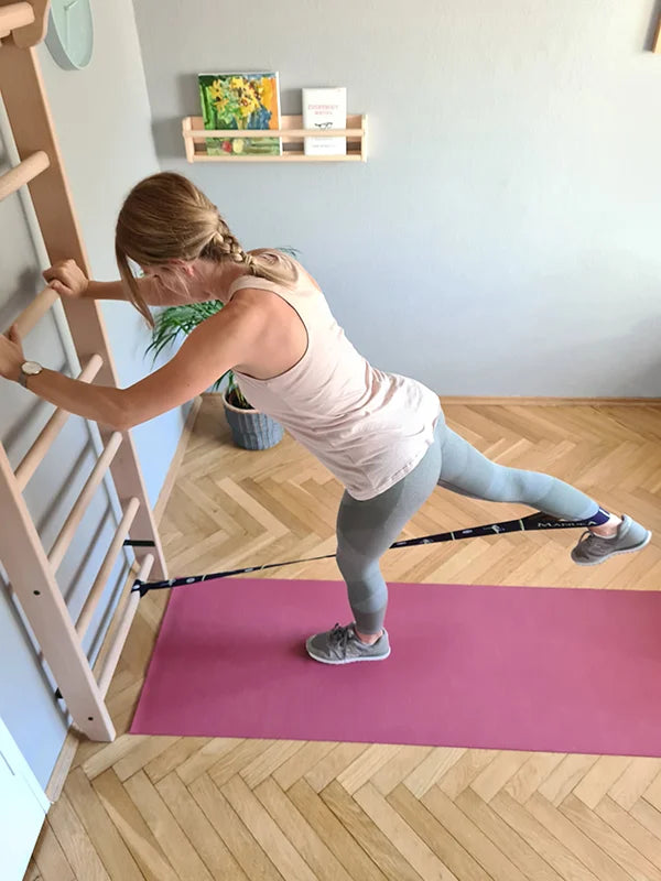 BenchK 100 Gymnastic Wooden Wall Bars