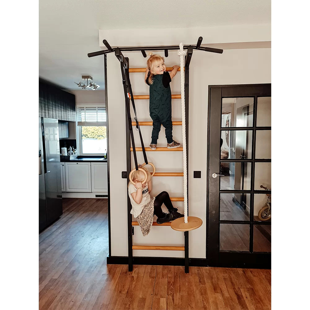 BenchK 221 Gymnastic Wall Bars with Ring and Swing Accessories