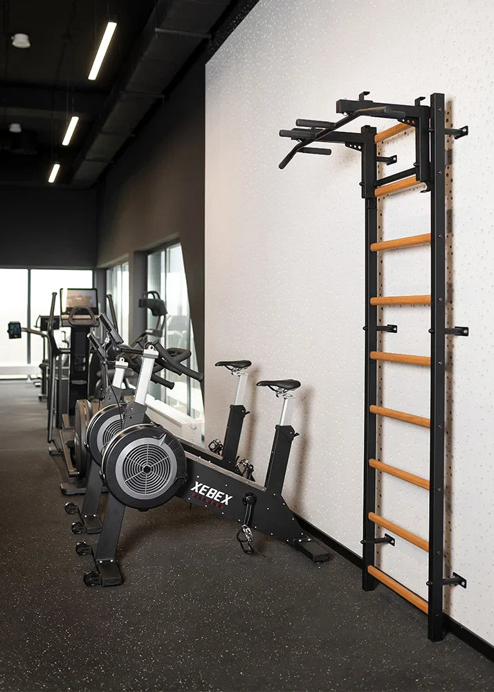BenchK 731 Wall Bars and Pull-Up Bar Exercise Rehabilitation Equipment