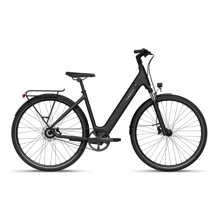 TENWAYS CGO800S Electric Bike