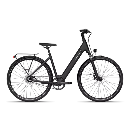 TENWAYS CGO800S Electric Bike
