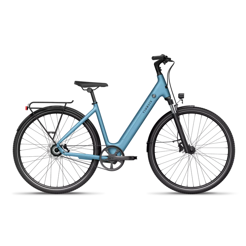 TENWAYS CGO800S Electric Bike