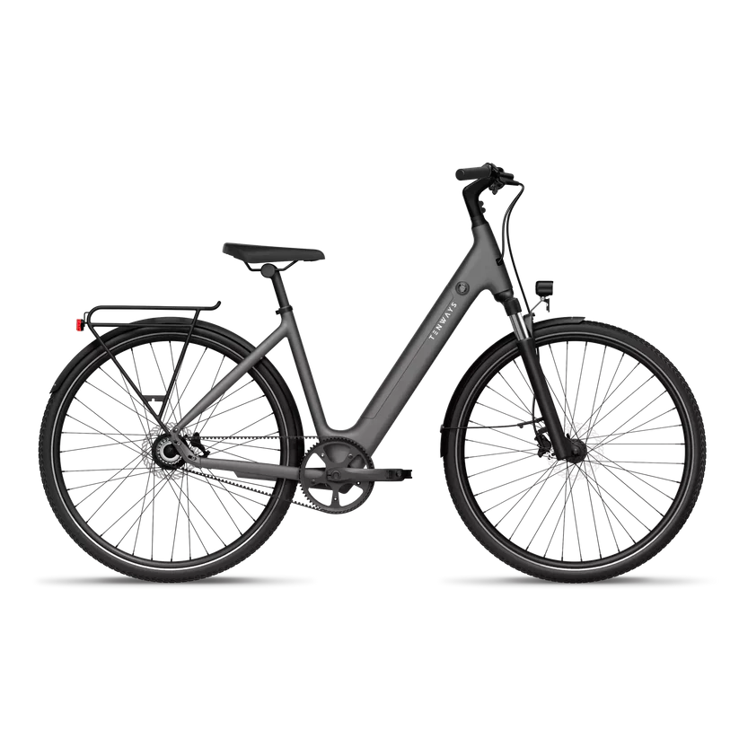 TENWAYS CGO800S Electric Bike