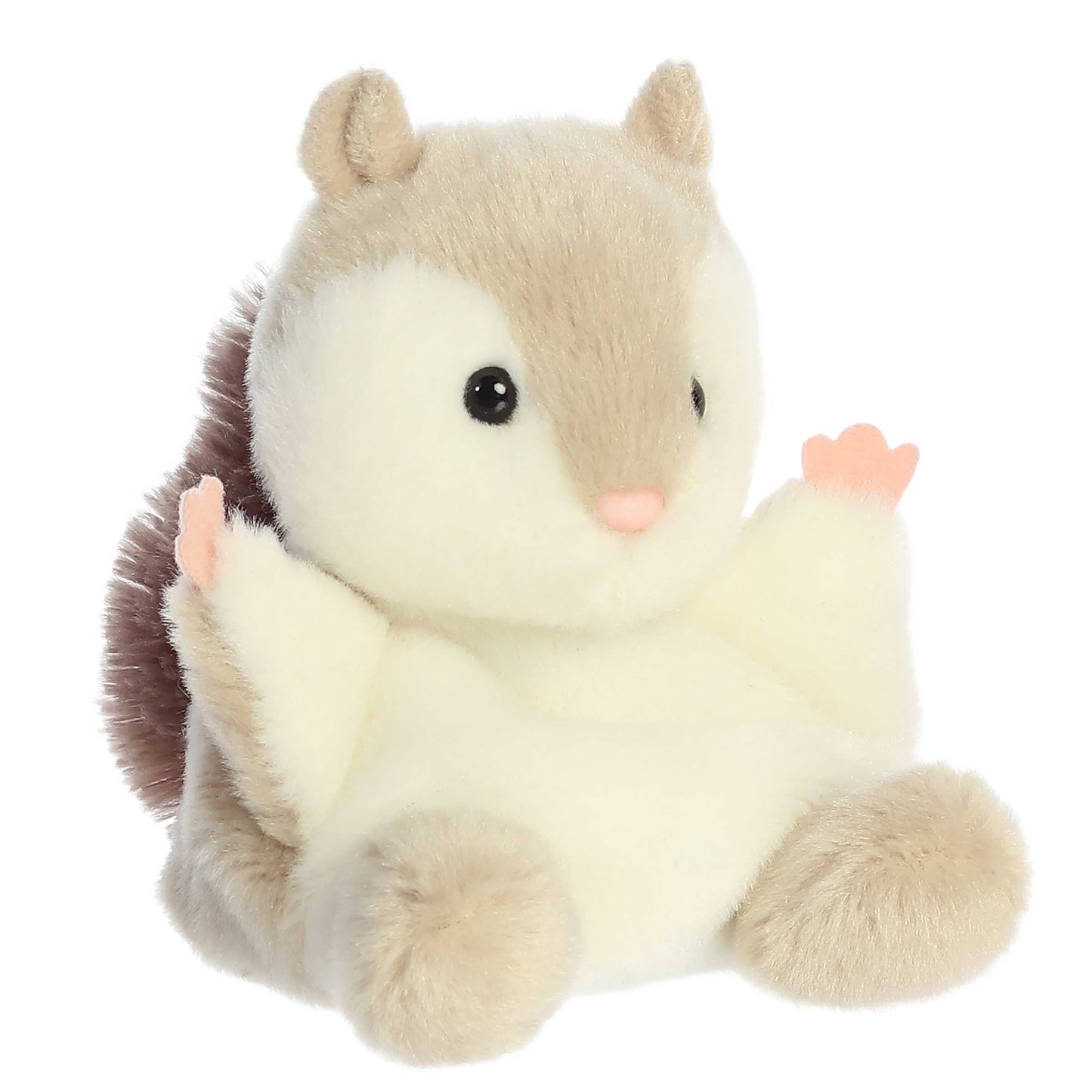 Flaps Flying Squirrel  Palm Pal